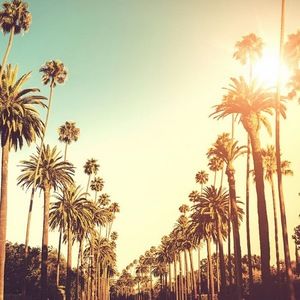 Meet your Posher, Rosalyn